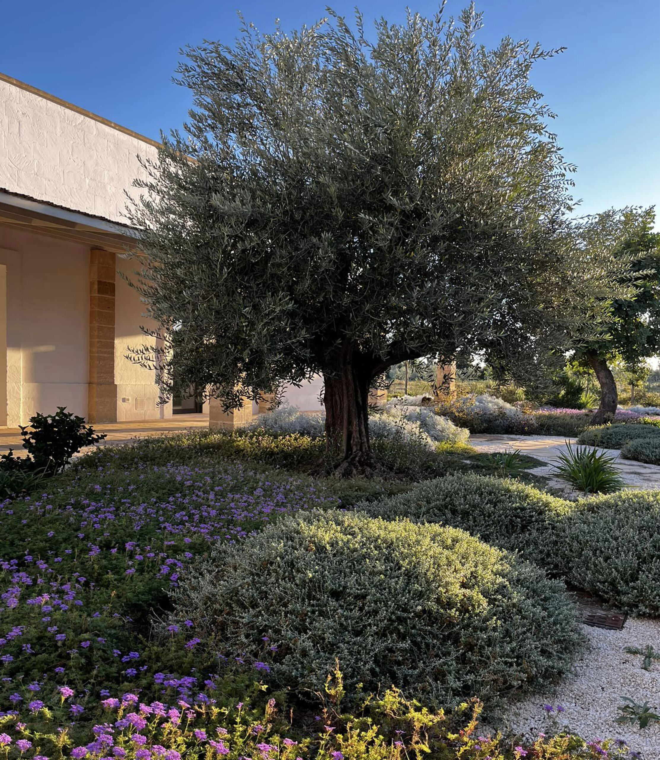 giardini